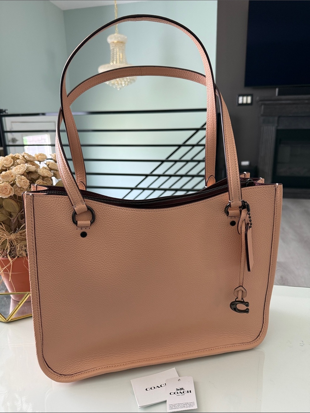 NWT Coach Tyler Carryall